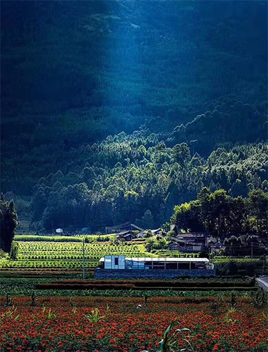 生態產區